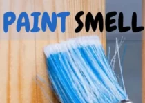 How-to-Get-Rid-of-Paint-Smells using simple methods