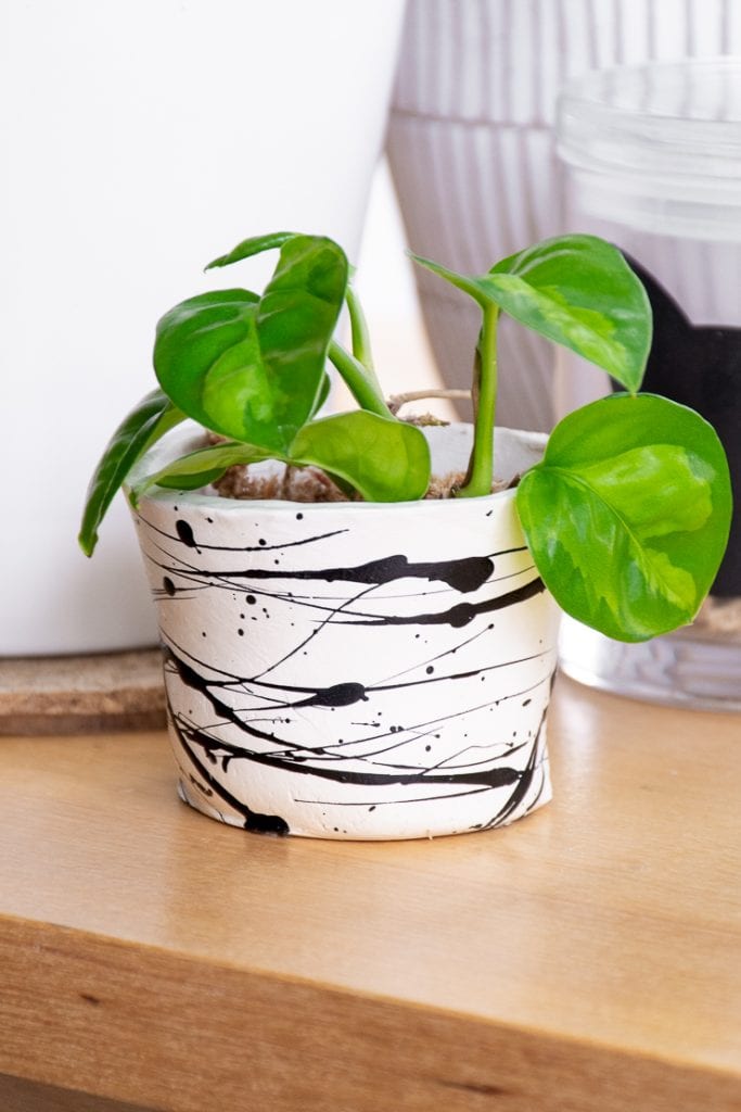 sealed air dry clay plant pot